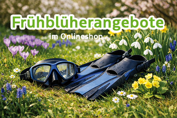 Tauchangebote Frühling