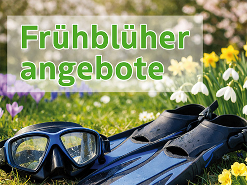 Flossen und Tauchermaske auf einer Wiese