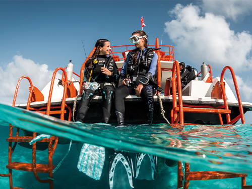 Open Water Diver Kurs bei Atlantis Berlin