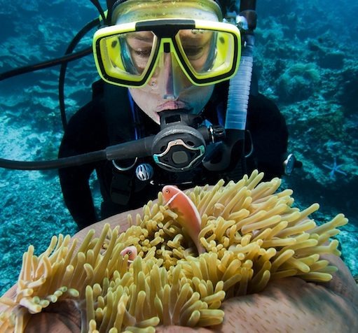 Atemregler balanciert oder unbalanciert tauchen