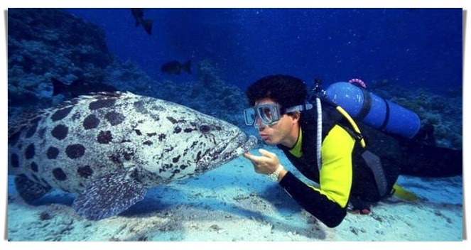 was ist der tiefenrausch beim tauchen