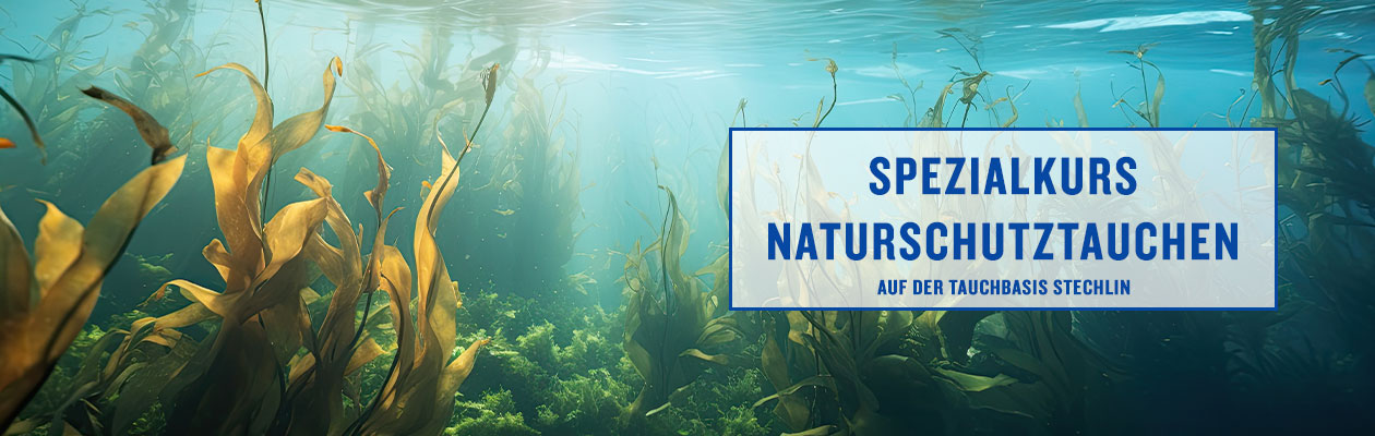 Spezialkurs Naturschutztauchen auf der Tauchbasis am Stechlinsee